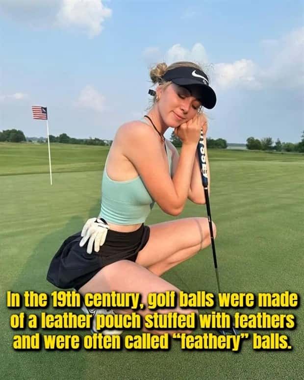 random facts (17)