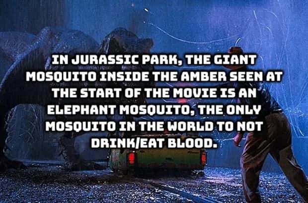 random facts (19)