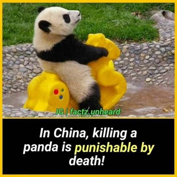 random facts (4)