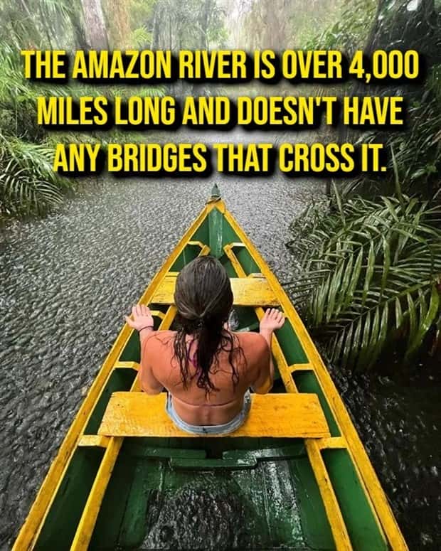 random interesting facts (10)