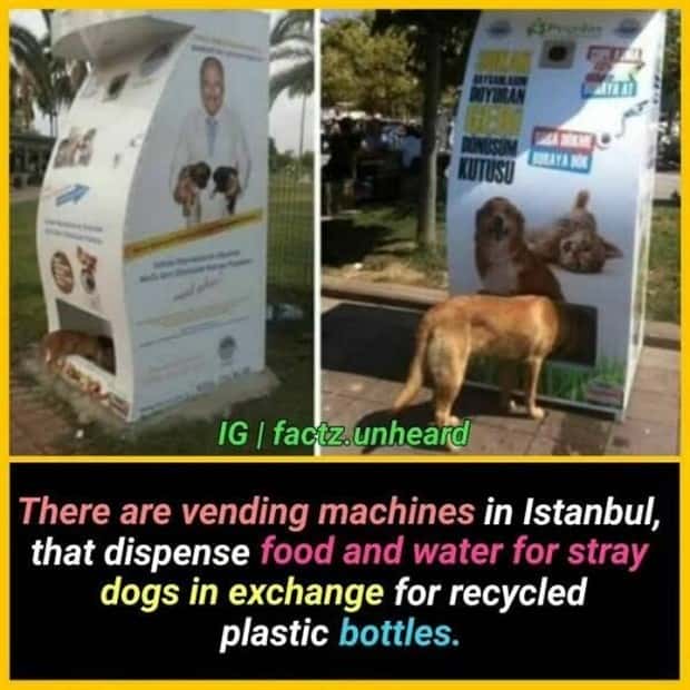 random interesting facts (13)