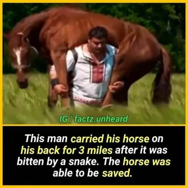 random interesting facts (16)