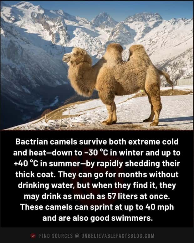 random interesting facts (16)