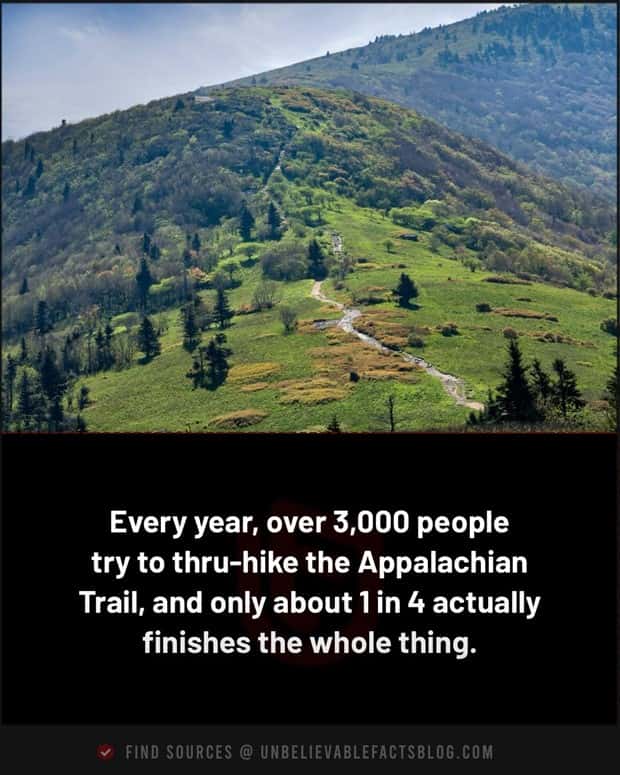 random interesting facts (3)
