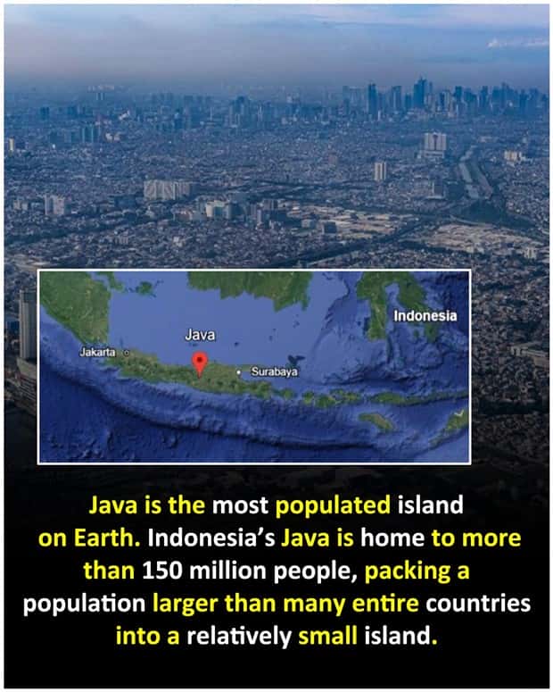 random interesting facts (7)