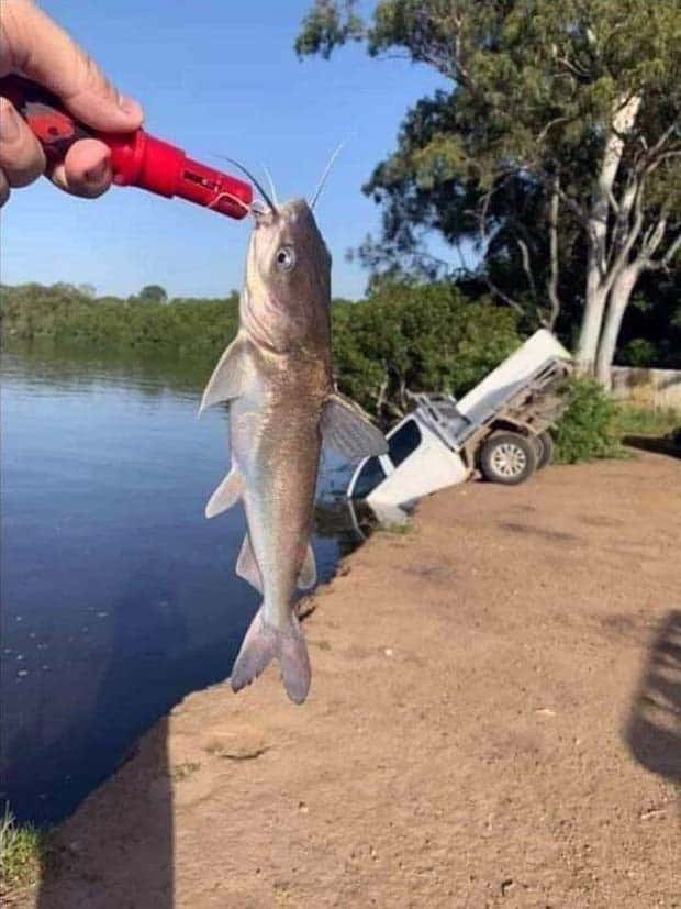 ridiculous driving fails (9)