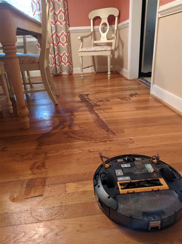 shit happens daily (11)