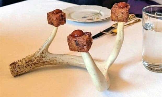 strange food serving (4)
