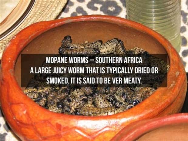 strange foods (10)