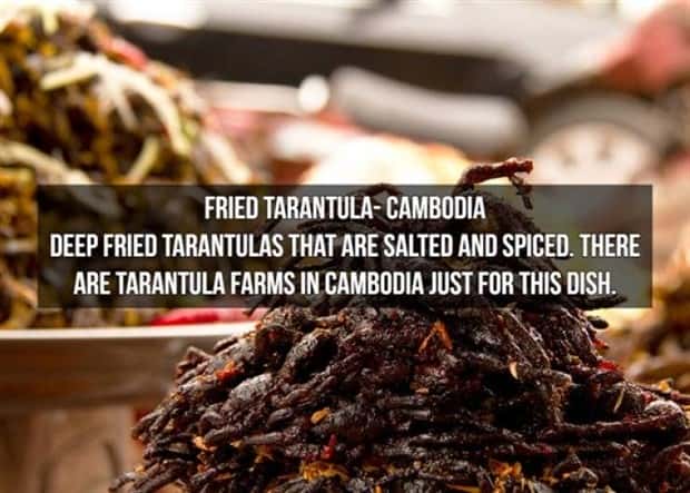 strange foods (11)