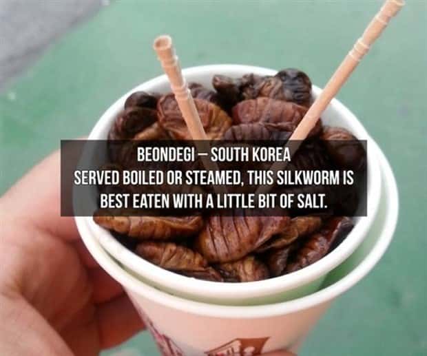 strange foods (13)