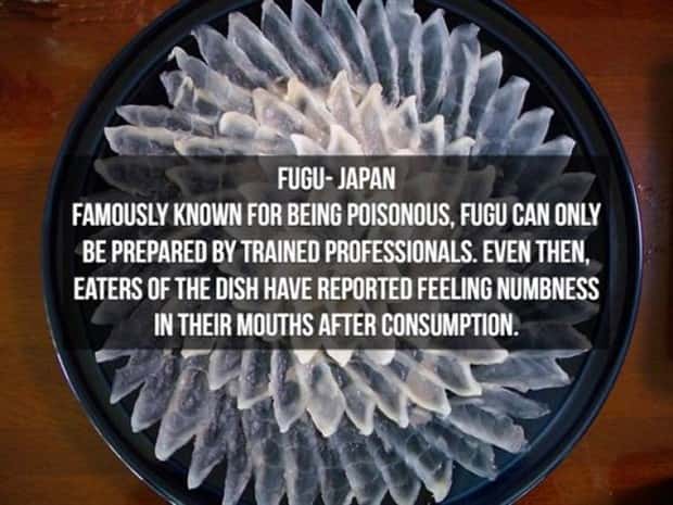 strange foods (14)