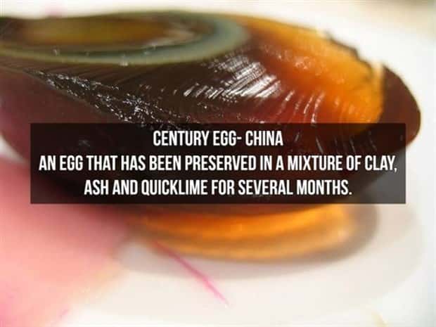 strange foods (2)