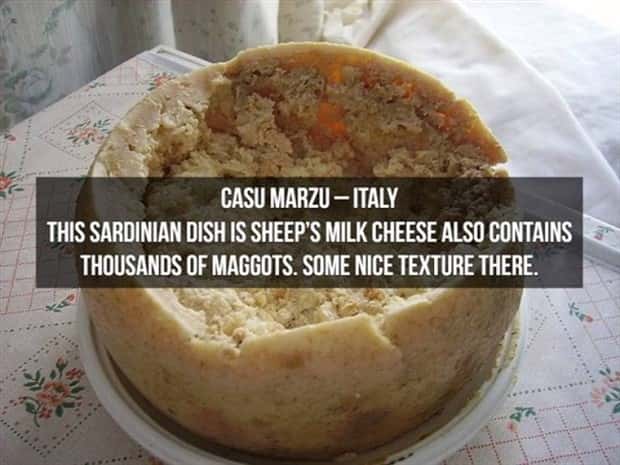 strange foods (4)