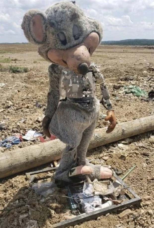 strange internet photos (10)