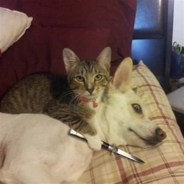 strange internet photos (12)