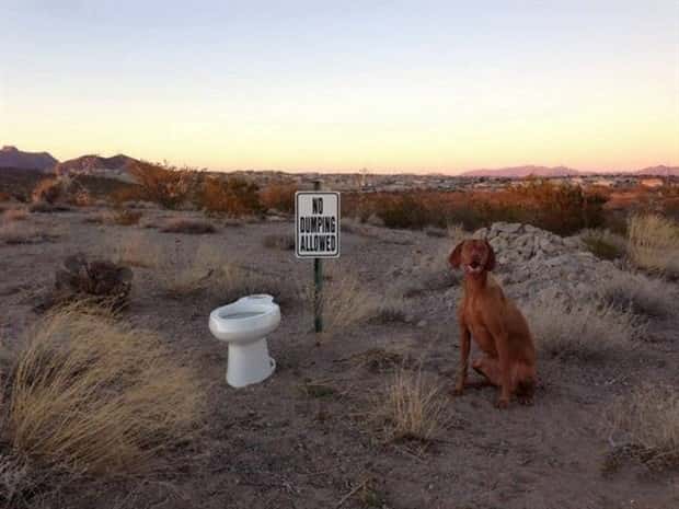 strange internet photos (13)