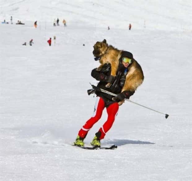 strange internet photos (15)
