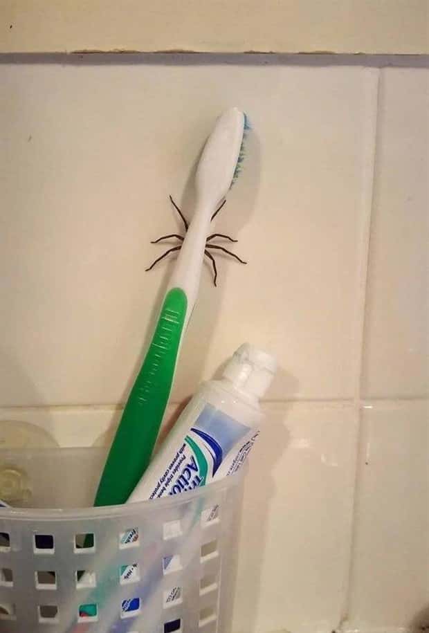 strange internet photos (8)