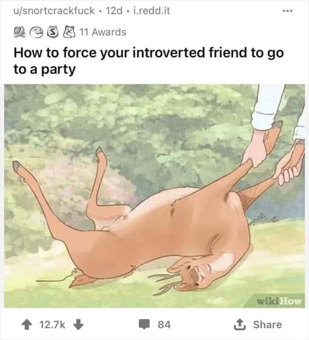 weird wikihow illustrations (14)