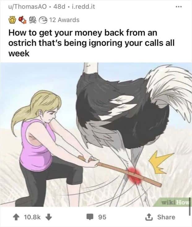 weird wikihow illustrations (15)