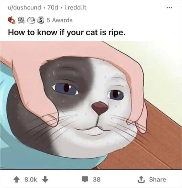 weird wikihow illustrations (7)