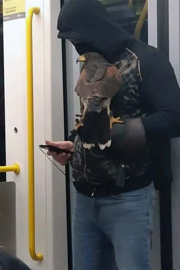 wild subway riders (11)