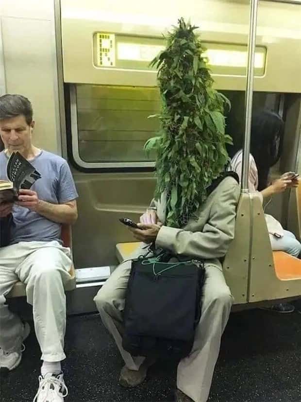 wild subway riders (13)
