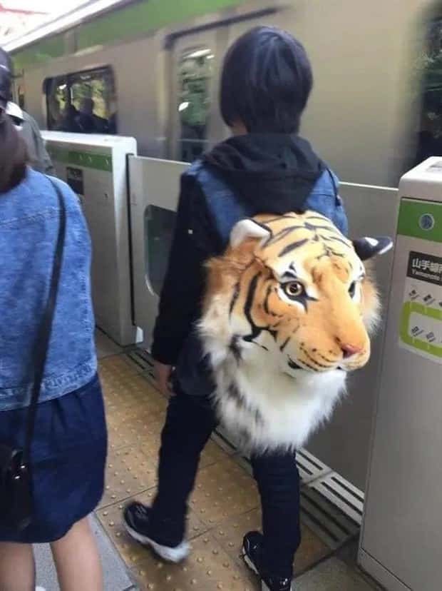 wild subway riders (20)