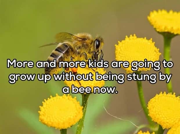 witty shower thoughts (20)